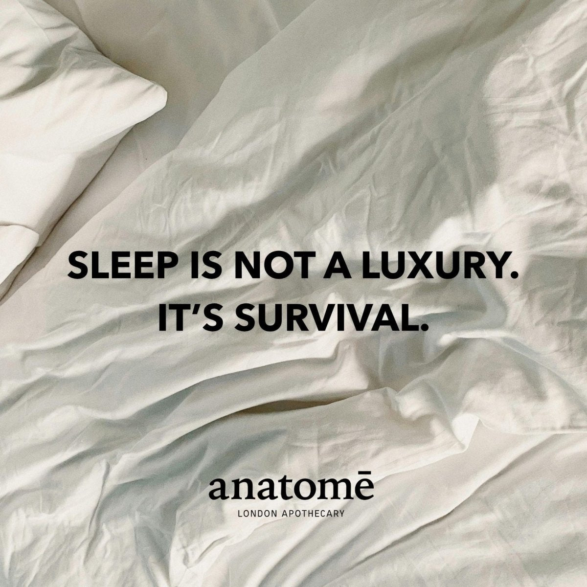 The Gift of Good Sleep | Somali Frankincense